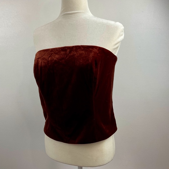 NWT Revelry Velvet Tube Top Terracotta Color Sleeveless Bustier size L - Picture 1 of 15
